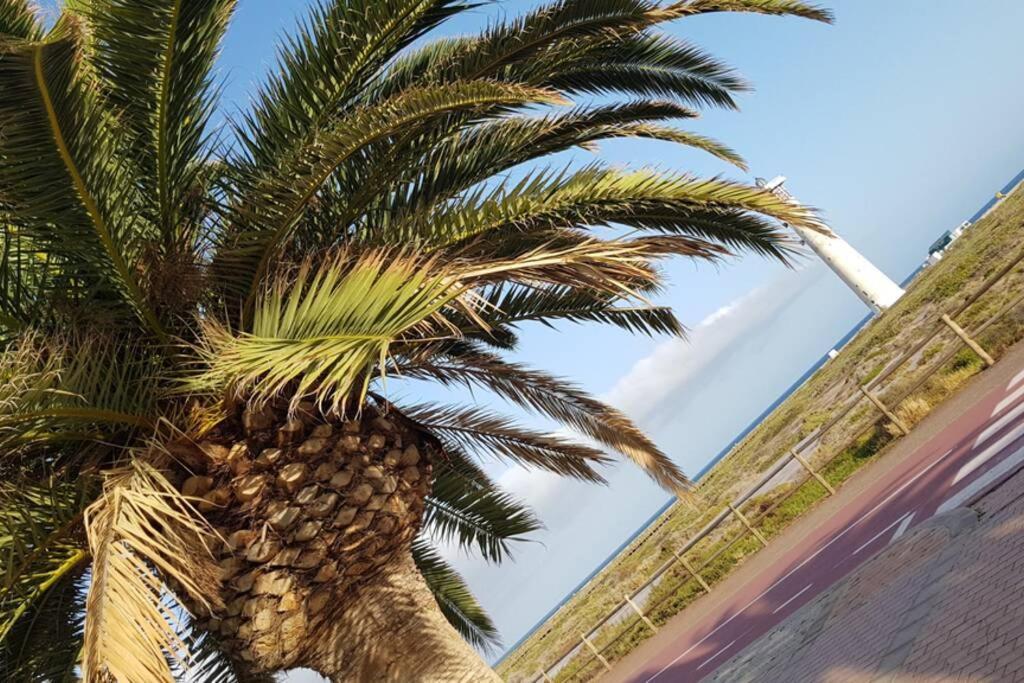 Front Beach Jandia Apartment 모로델제블 외부 사진